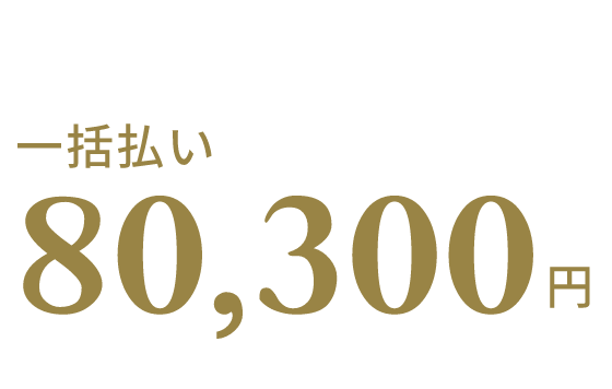 ACFE入会+初回受験料金+教材セット 一括払い80,300円